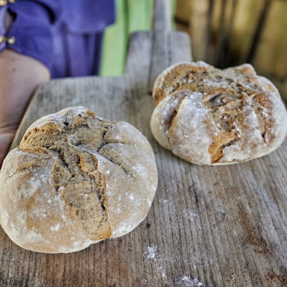 zwei römische Brote mit sonnenförmig aufgebrochener Kruste auf hölzernem Ofenschieber